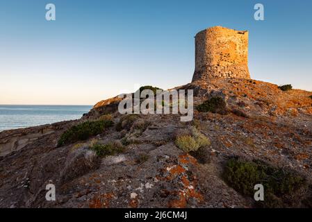 Naturerlebnis - Ruinen des alten Küstenwachturms Torre Argentina auf einem Felsen über der Westküste Sardiniens im Mittelmeer bei Sonnenaufgang Stockfoto