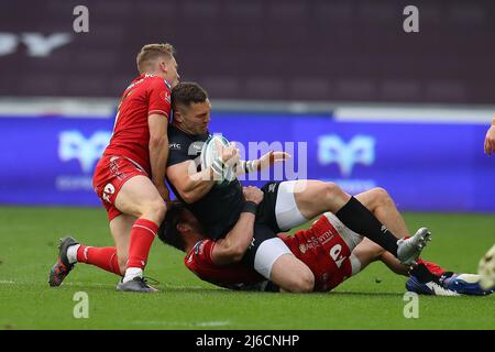 Swansea, South Wales am Samstag, 30.. April 2022. George North von den Ospreys wird von Johnny Williams von Scarlets zu Boden gepackt. United Rugby Championship ,Ospreys gegen Scarlets im Swansea.com Stadion in Swansea, South Wales am Samstag 30. April 2022. PIC by Andrew Orchard/Andrew Orchard Sports Photography/Alamy Live News Stockfoto