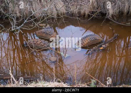 Müllschrott in der Natur im Graben mit Wasser gelassen. Umweltverschmutzung Stockfoto