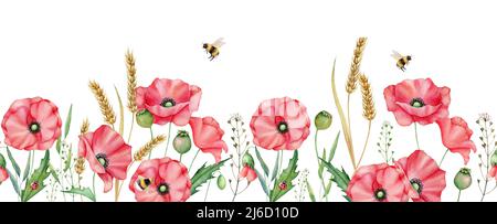 Aquarell rote Mohnblumen Seemannsgrenze, handgezeichnete florale Illustration, rote Wildblumen isoliert auf weißem Hintergrund. Stockfoto