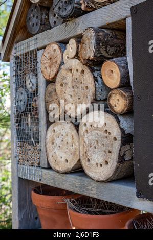 Habitatstruktur von Bienen und Wespen mit gebohrten Löchern, in denen Insekten überwintern und nisten können. Stockfoto