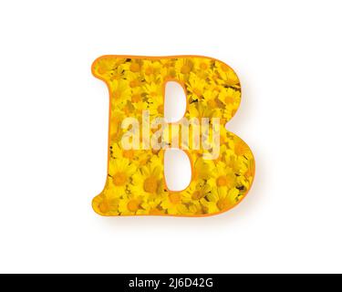 Buchstabe B-Logo. Gelbe Farbe Frühling Blume Großbuchstaben B, Design-Element Alphabet, Gänseblümchen-Textur, Vektor-Illustration isoliert auf weißem Hintergrund Stock Vektor