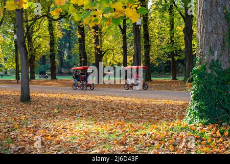 Lyon, Frankreich, 23. Oktober 2018, romantische Atmosphäre des Parc de la Tête d'Or (Goldkopf des Parks). Stockfoto