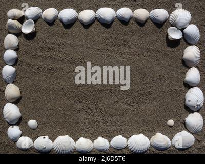 White Common Heart Shell formte sich zu einem Rahmen am Sandstrand. Perfekt zum Einfügen von Text, Fotos oder zum Erstellen von Karten. Stockfoto