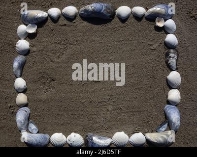Blue Muschel, Mytilus edulis und Common Cockle, Cerastoderma edulis, werden zu einem kreativen Rahmen zusammengefügt. Stockfoto