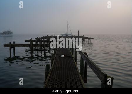 Sarg Bay nebliger Morgen Stockfoto