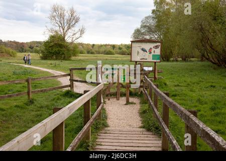 Fußgängerbrücke zum Chilbolton Cow Common (SSSI), Wherwell, Stockbridge, Hampshire, England Stockfoto