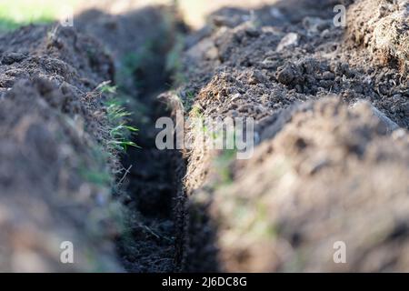 Graben. Erdarbeiten und Grabengraben. Langer Erdgraben wird für die Verlegung von Rohr oder Glasfaser gegraben Stockfoto