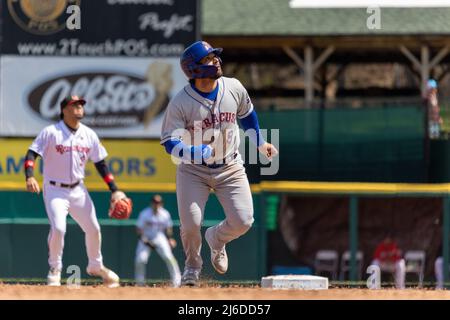 30. April 2022: Syracuse-Mets-Außenfeldspieler Carlos Cortes (8) führt die Basen während eines Spiels gegen die Rochester Red Wings. Die Rochester Red Wings veranstalteten die Syracuse Mets in einem Spiel der International League im Frontier Field in Rochester, New York. (Jonathan Tenca/CSM) Stockfoto