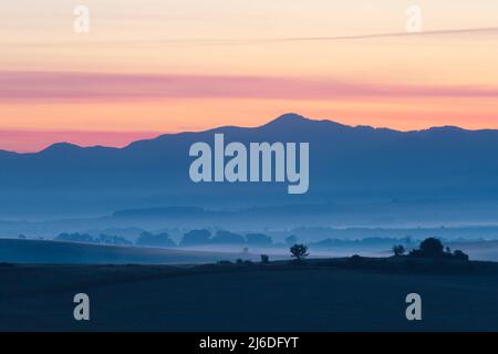 Morgennebel auf den Feldern in Ondrasova, Slowakei. Stockfoto