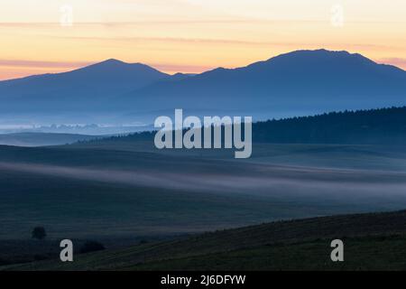 Morgennebel auf den Feldern im Dorf Ondrasova, Slowakei. Stockfoto