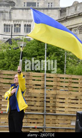 Manchester, Großbritannien, 30.. April 2022. Protest gegen die russische Invasion der Ukraine in Piccadilly Gardens, im Zentrum von Manchester, England, Großbritannien und den Britischen Inseln. Ein Mann hält eine große ukrainische Flagge. Es wurde vom Ukrainischen Kulturzentrum „Dnipro“ Manchester organisiert. Seit Beginn der Invasion Russlands wurden mehr als 500 Kinder getötet oder verletzt. Quelle: Terry Waller/Alamy Live News Stockfoto