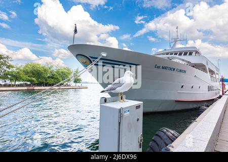 yacht im Hafen von Toronto Metropolis am Lake Ontario. Eine Möwe sitzt auf einer Stange auf dem Pier vor dem Schiff. Weiße Cumulus Wolken am Himmel Stockfoto