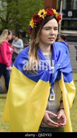 Manchester, Großbritannien, 30.. April 2022. Eine Frau trägt eine ukrainische Flagge. Protest gegen die russische Invasion der Ukraine in Piccadilly Gardens, im Zentrum von Manchester, England, Großbritannien und den Britischen Inseln. Es wurde vom Ukrainischen Kulturzentrum „Dnipro“ Manchester organisiert. Seit Beginn der Invasion Russlands wurden mehr als 500 Kinder getötet oder verletzt. Quelle: Terry Waller/Alamy Live News Stockfoto