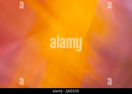 Orange rosa lila abstrakten Hintergrund Banner mit geschwungenen Wellen. Heller, warmer Rücken Stockfoto