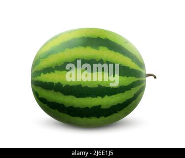 Ganze Wassermelonenfrucht isoliert auf weißem Hintergrund. Frische, leckere Wassermelone. Realistische 3D-Vektor-Illustration. Frische Sommerfrüchte mit hohem Mineralstoffgehalt Stock Vektor