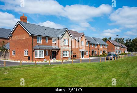 Brandneue 2020s rote Backstein Doppelhaushälfte moderne 2-stöckige Häuser in einer neuen Wohnanlage in Angmmering, West Sussex, England gebaut. Stockfoto