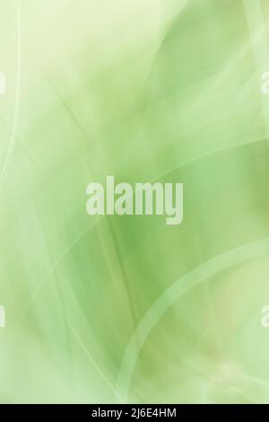 Abstrakter vertikaler Banner-Hintergrund in Grüntönen. Hintergrund mit einem sanften Gradienten und Wellen, die wie Blätter aussehen. Stockfoto
