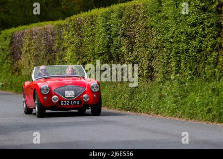 Red Austin Healey 100. Teilnahme an der Rotary Club-Wohltätigkeitsorganisation „Wye Run“ des Oldtimer-Frühlings durch Wales und das Wye Valley. Stockfoto