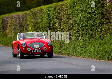 Red Austin Healey 100. Teilnahme an der Rotary Club-Wohltätigkeitsorganisation „Wye Run“ des Oldtimer-Frühlings durch Wales und das Wye Valley. Stockfoto