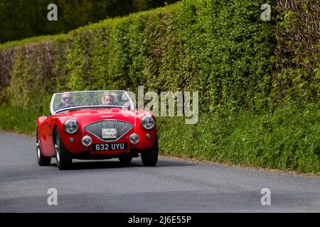 Red Austin Healey 100. Teilnahme an der Rotary Club-Wohltätigkeitsorganisation „Wye Run“ des Oldtimer-Frühlings durch Wales und das Wye Valley. Stockfoto