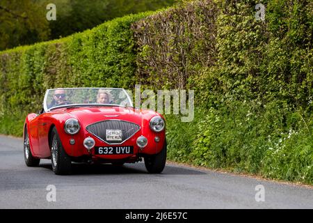 Red Austin Healey 100. Teilnahme an der Rotary Club-Wohltätigkeitsorganisation „Wye Run“ des Oldtimer-Frühlings durch Wales und das Wye Valley. Stockfoto