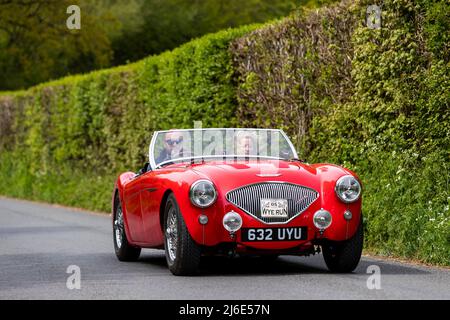 Red Austin Healey 100. Teilnahme an der Rotary Club-Wohltätigkeitsorganisation „Wye Run“ des Oldtimer-Frühlings durch Wales und das Wye Valley. Stockfoto