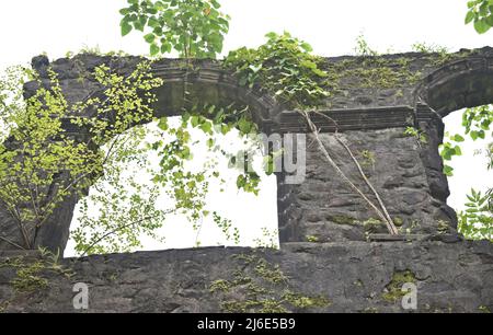 Ruinen von vasai Fort, maharashtra, indien Stockfoto