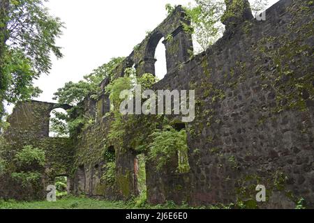 Ruinen von vasai Fort, maharashtra, indien Stockfoto