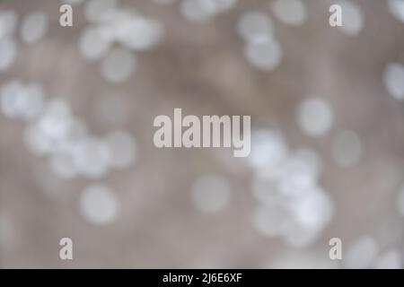Kirschblüten über verschwommenem Naturhintergrund. Frühlingsblumen. Federhintergrund mit Bokeh Stockfoto