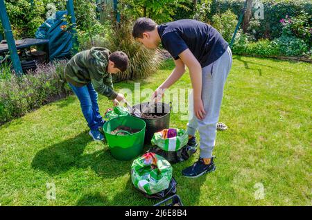 Ein paar Jungen bereiten alte Plastikkompostsäcke vor, die Kartoffeln darin anpflanzen. Stockfoto