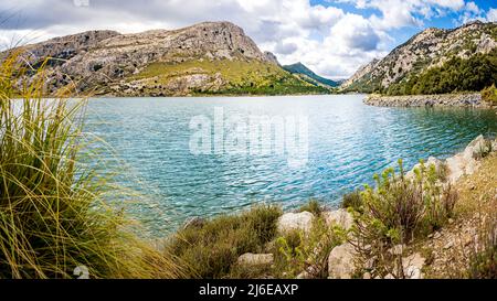 See mit Pflanzen und Kies von Palma de Mallorcas Wasserreservoir genannt Embassament de cuber mit Blick auf den Berggipfel Puig de Sa Rateta. Stockfoto