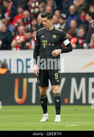 30. April 2022, Mewa Arena, Mainz, GER, 1.FBL, 1.FSV FSV FSV Mainz 05 vs FC Bayern München , DFL-Vorschriften verbieten die Verwendung von Fotos als Bildsequenzen und/oder quasi-Video. Im Bild Robert Lewandowski (München) Stockfoto