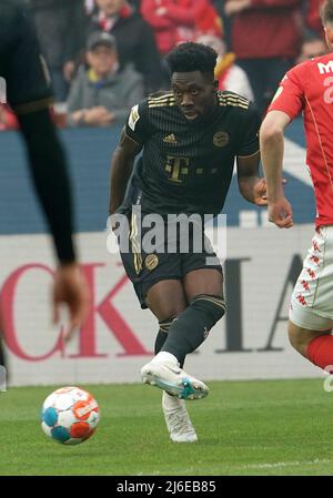 30. April 2022, Mewa Arena, Mainz, GER, 1.FBL, 1.FSV FSV FSV Mainz 05 vs FC Bayern München , die DFL-Vorschriften verbieten die Verwendung von Fotos als Bildsequenzen und/oder quasi-Video. Im Bild Alphonso Davies (München) Stockfoto