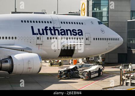 Frankfurt, Deutschland - April 2022: Nahaufnahme eines Boeing 747-Langstreckenjets der deutschen Lufthansa, der am Flughafenterminal geparkt ist Stockfoto