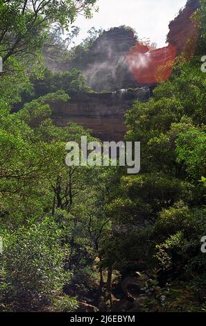 Katoomba Falls, die im Wind zu Nebel werden: Jamison Valley, Blue Mountains, NSW, Australien Stockfoto