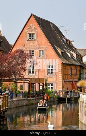 Colmar, Frankreich - 2022. April: Touristen in einem kleinen Boot auf dem Kanal, der durch die Stadt führt, mit einem Schwan im Untergrund Stockfoto