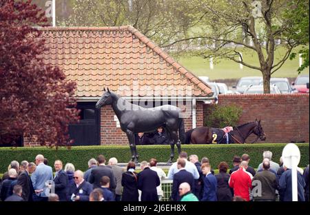 Am dritten Tag des QIPCO Guineas Festivals auf der Newmarket Racecourse, Newmarket, beobachten Rennfahrer Pferde im Vorparadering. Bilddatum: Sonntag, 1. Mai 2022. Stockfoto