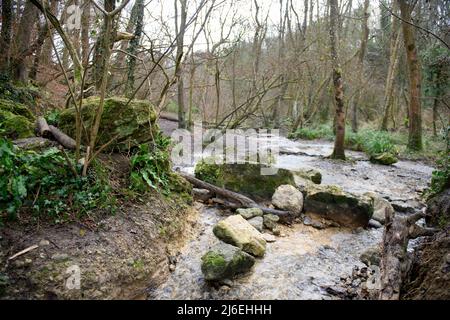 Der Horsecombe Brook in der Nähe von South Stoke, Somerset, Großbritannien. Stockfoto