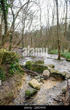 Der Horsecombe Brook in der Nähe von South Stoke, Somerset, Großbritannien. Stockfoto