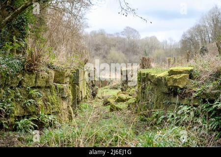 Die Überreste eines Schleusenfluges auf dem alten Somerset Coal Canal in der Nähe von Bath, Großbritannien Stockfoto