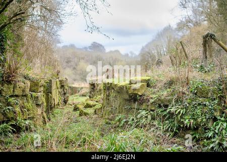 Die Überreste eines Schleusenfluges auf dem alten Somerset Coal Canal in der Nähe von Bath, Großbritannien Stockfoto