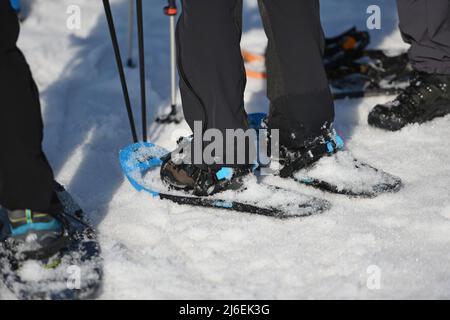 Schneeschuh-Wandern auf dem Feuerkogel im Salzkammergut (Bezirk Gmunden, Oberösterreich, Österreich) - Schneeschuhwanderer am Feuerkogel im S Stockfoto