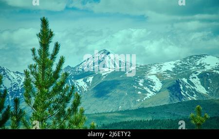 Ulagansky Pass, Altai Gebirge Stockfoto