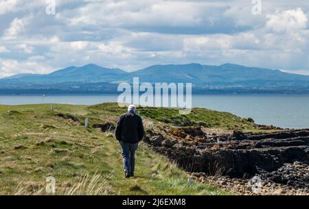 East Lothian, Schottland, Vereinigtes Königreich, Mai 1. 2022. UK Wetter: Sonnenschein an der Ostküste Lothians. Ein älterer Mann geht entlang der Küste des Firth of Forth mit Blick auf die Pentland Hills in der Ferne Stockfoto