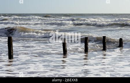 Raues Meer und verfallene Groynes am Strand von Teignmouth, South Devon. Stockfoto