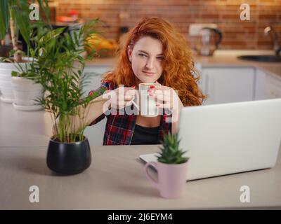 Porträt einer jungen Frau, die zu Hause eine Tasse Kaffee genießt. Lächelnde, schöne Dame, die bei der Arbeit am Laptop heißen Kaffee trinkt. Aufgeregte Hündin im karierten Hemd Stockfoto