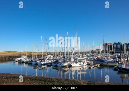 Yachten und Segelboote in Amble Marina, Northumberland Frühjahr 2022 Stockfoto