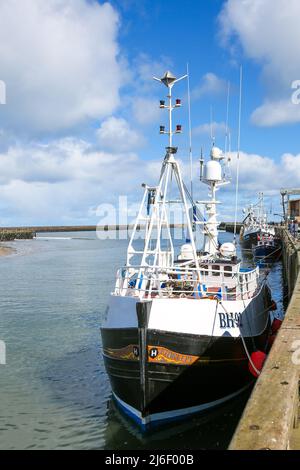 Fischerboote im Amble Harbour, Northumberland Spring 2022 Stockfoto