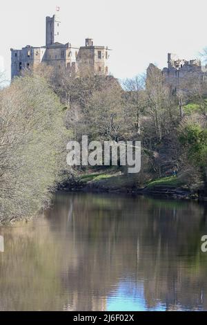 Warkworth Castle vom Fluss Coquet aus gesehen in Springtime, Northumberland Stockfoto